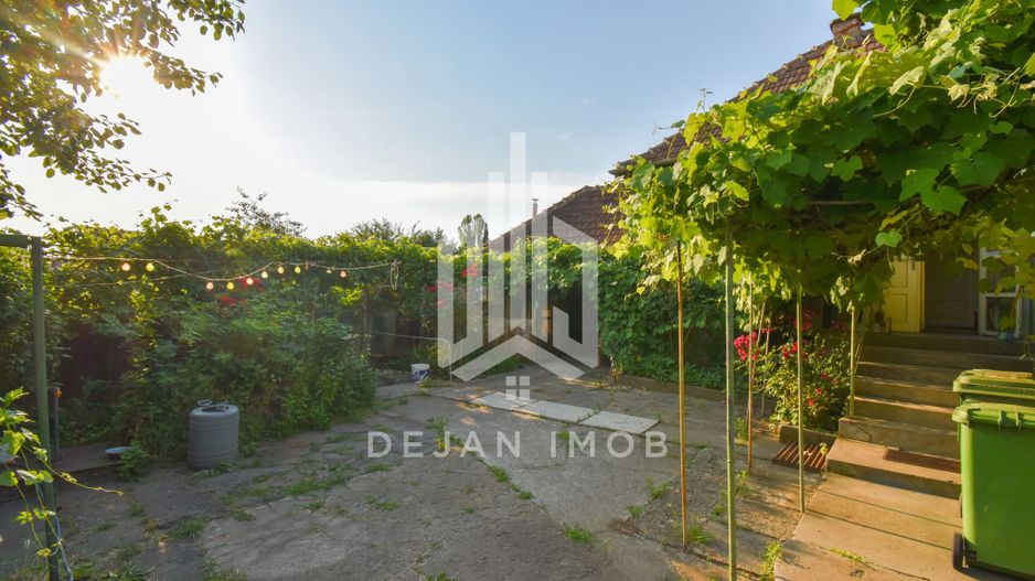 Casă | Teren 1.090 mp | Sfântu Gheorghe - Poză 8