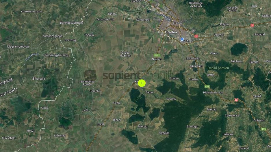 SAPIENT IMOBILIARE - DE VÂNZARE CASĂ 7 CAMERE (LA ROȘU) LOC. LEȘ - Poză 7