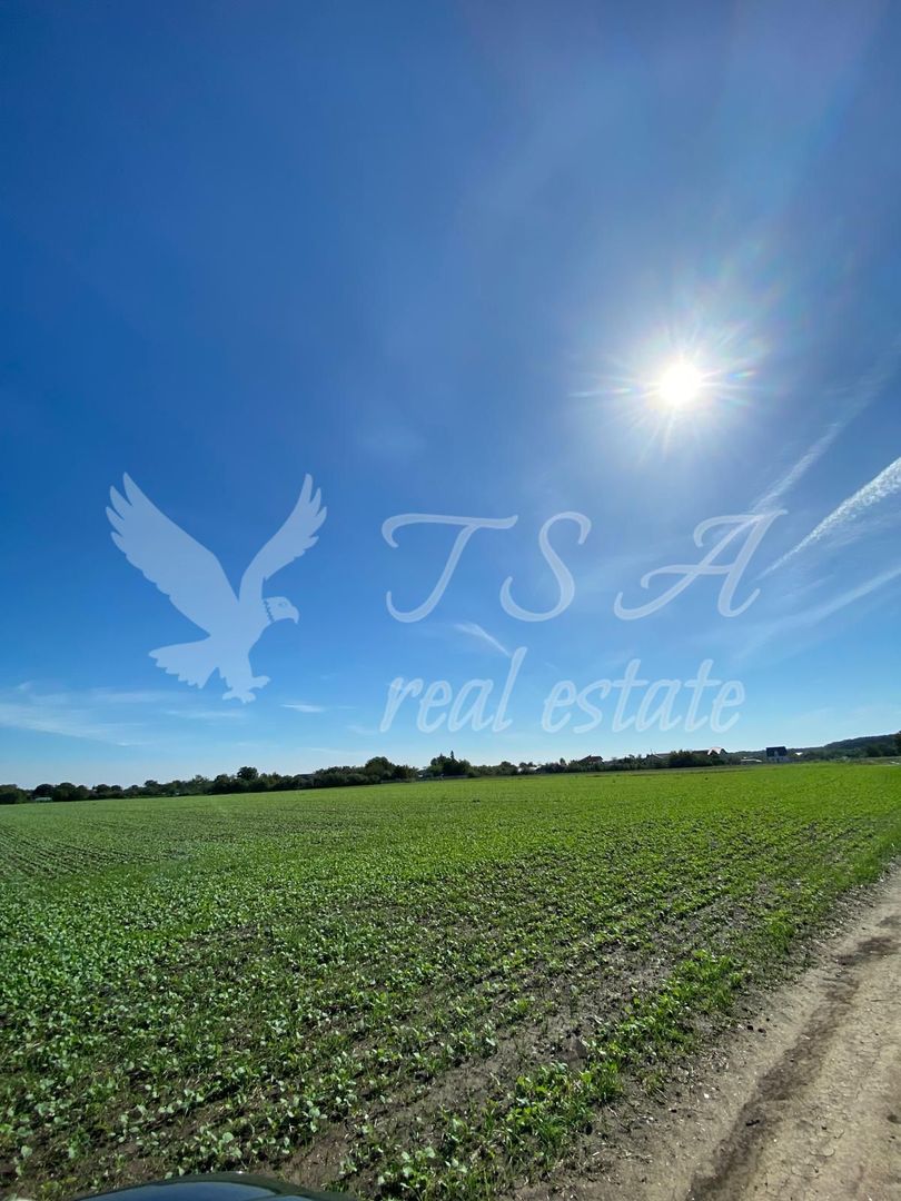 Teren Intravilan 825mp Cu dubla deschidere si Drum de servitute, Dascalu  Ilfov - Poză 3