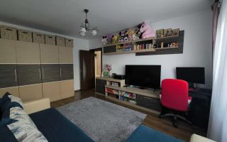 Apartament 2 camere - Etaj 3- Cris Estate Bucium-Visan - Poză 1