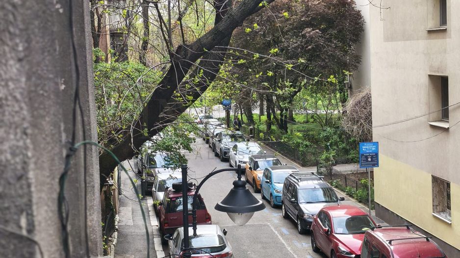 Ultracentral – Eleganță interbelică lângă Parcul Cișmigiu - Poză 13