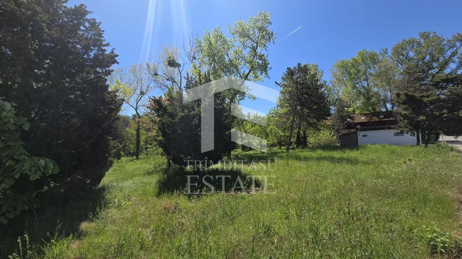 🏖 Teren de vanzare in Neptun – O oportunitate rara de investitie. - Poză 3