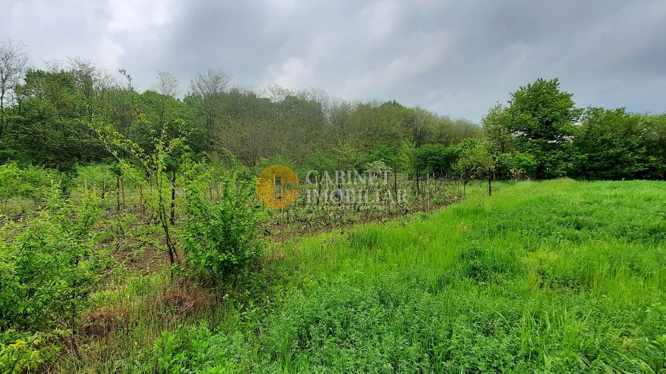 🏡 Casă cu livadă sat Prisăcani  - Teren 4500 mp - Poză 9