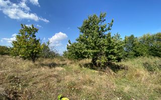 Teren 802 m2 Faget cu PUZ aprobat - Poză 1