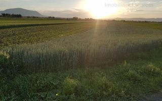 Teren Stupini Calea Feldioarei 4600 mp,22 euro/mp, front la asfalt - Poză 2