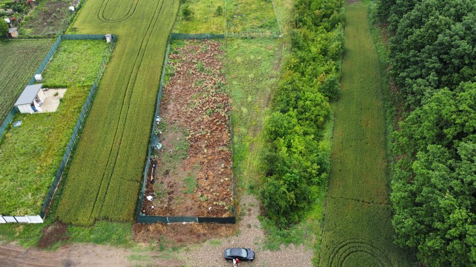 Teren superb Moara Vlasiei - langa padure (COMISION ZERO) - Poză 8