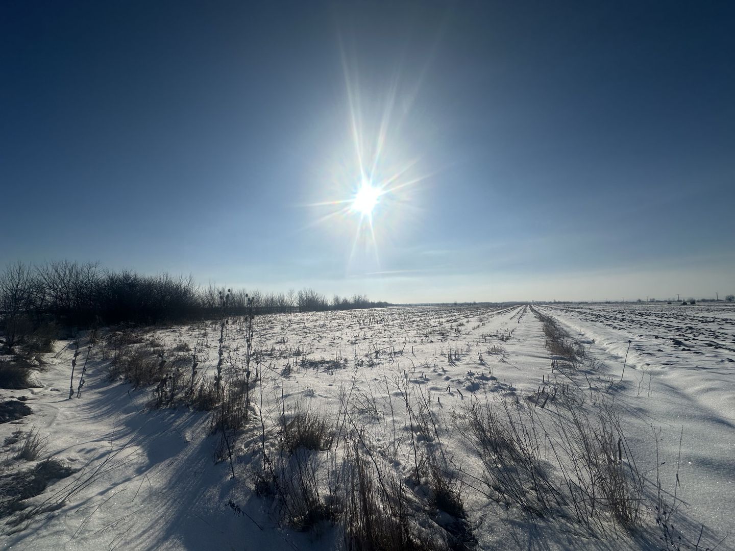 Teren Extravilan | 52 ari | Maneuti | Front 26 m | 55.500 € - Poză 7