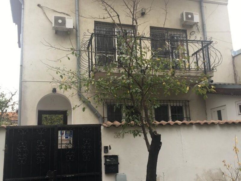 Cotroceni Vila, Palatul Cotroceni - Poză 3