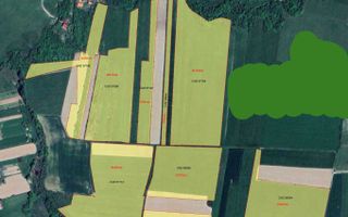Teren agricol 19,87ha | Acces la drum public | Tileagd | Bihor - Poză 1