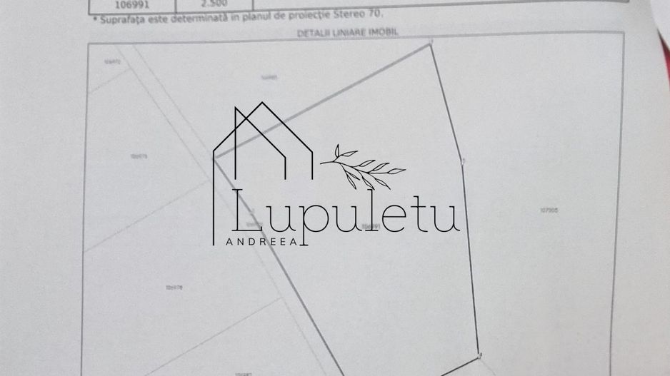 Teren Extravilan de Vânzare – 2.500 mp | Hamba | Zonă în Dezvoltare - Poză 2