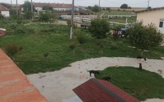 Ferma de vânzare - Poză 15