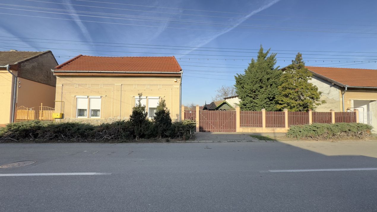 Casă 4 camere cu Teren 2.974 mp | Rezidență sau afacere | Carei - Poză 1