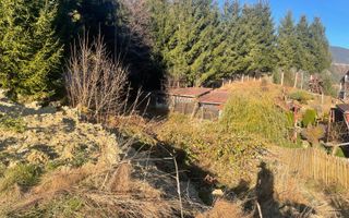 Teren intravilan 500 mp cu utilitati-panoramic-4 min de Lac Colibita - Poză 8