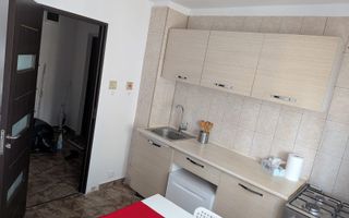 Vanzare Apartament 2 Camere Dristor - Complet Renovat - Poză 5