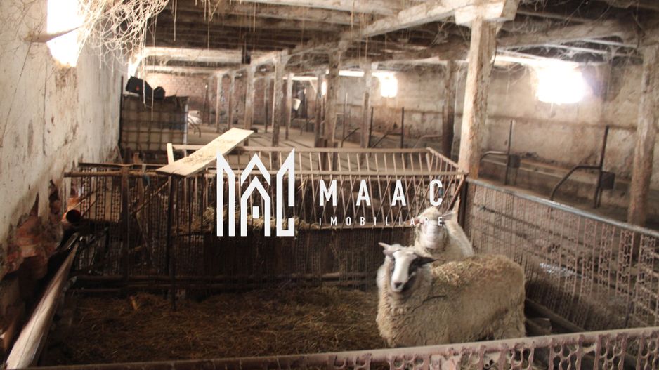 Ferma de Vânzare – Oportunitate Unică! - Poză 6