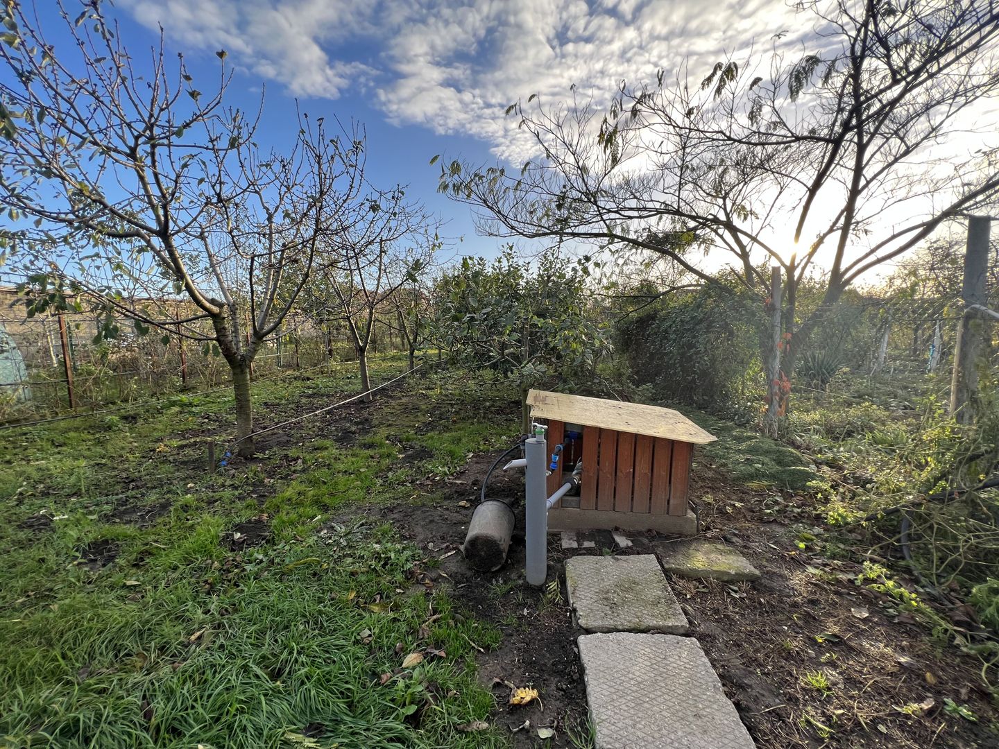 CASA CU TEREN GENEROS - Poză 19