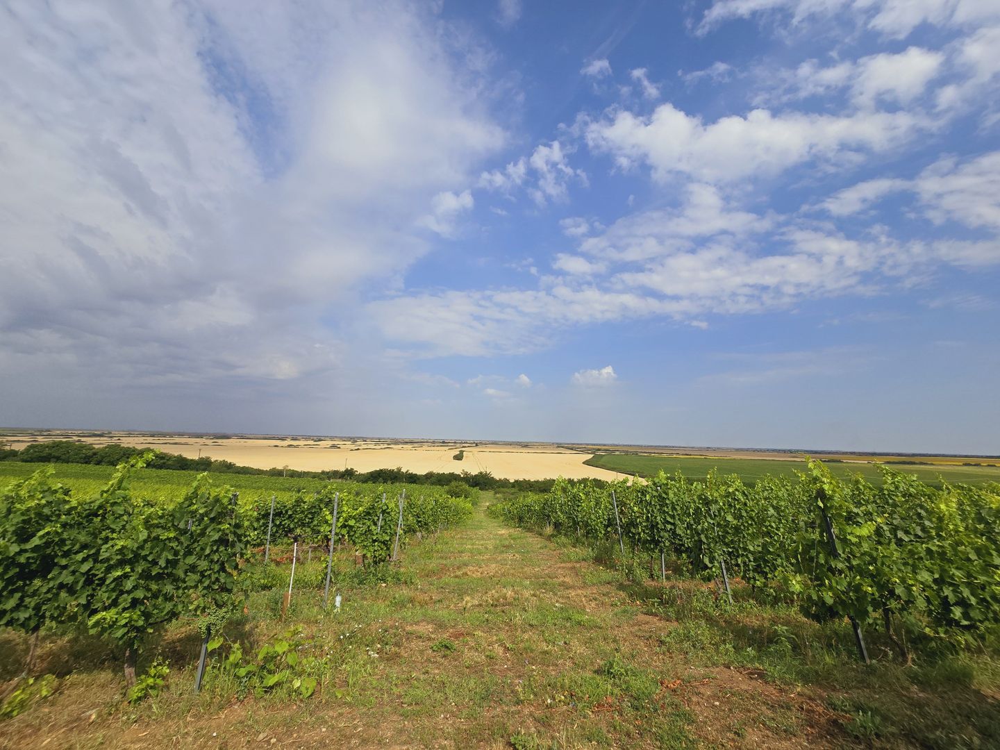 Vie Tradițională „Halta Lupilor” - Poză 17