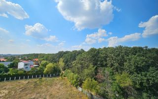 3 camere Inacu Nicoale Baneasa Piscina - Poză 13