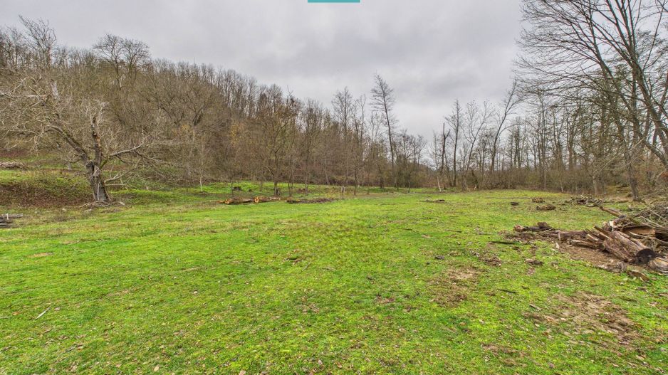 Casă cu teren de 24.679,73 mp, în Hălmagiu, Arad - Poză 30