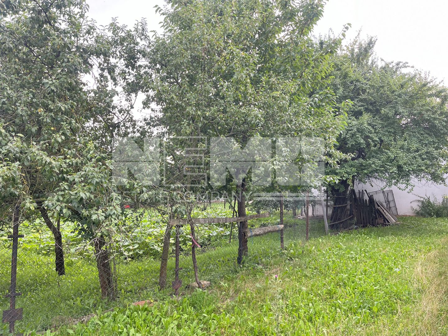 TEREN INTRAVILAN 10 ARI  I Rotopanesti/Suceava I 20.000Euro - Poză 3