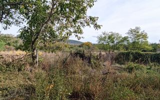 🏡  Casă de Poveste în Șiria, Arad- Locație Rară - Poză 15