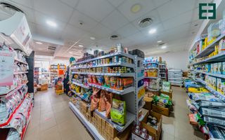 Spațiu comercial cu destinații multiple - Grădiște - Arad - Poză 14