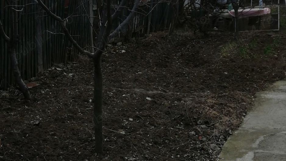 Casa de vânzare cu teren - Poză 2