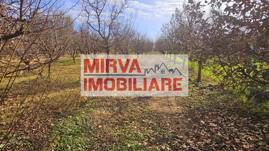 🏡 Casă spațioasă cu 4 camere + teren 4344 mp, Gorgota – EXCLUSIV! - Poză 13