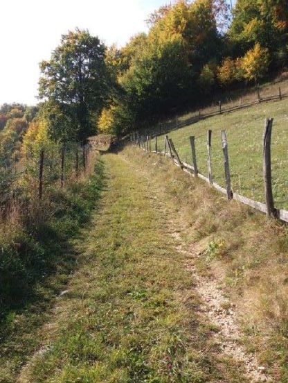 Teren Dambovicioara Arges - Poză 1