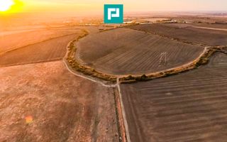 Teren arabil 68,800mp Zimandu Nou - Poză 7