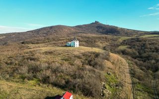 Castel cu vedere panoramică pe dealul Șiriei - Poză 3