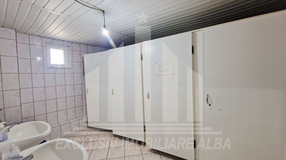 Spatiu industrial de inchiriat in Sebes - Poză 9