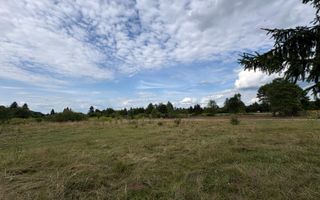 Teren intravilan de vanzare I 1990 mp I Valea Avrigului – lângă Cabana Aris - Poză 2