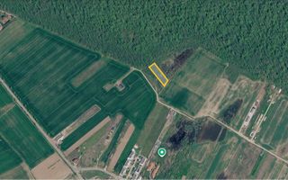 Vanzare Teren Intravilan Padure Izvorani (prin) Strada Florilor - Poză 1