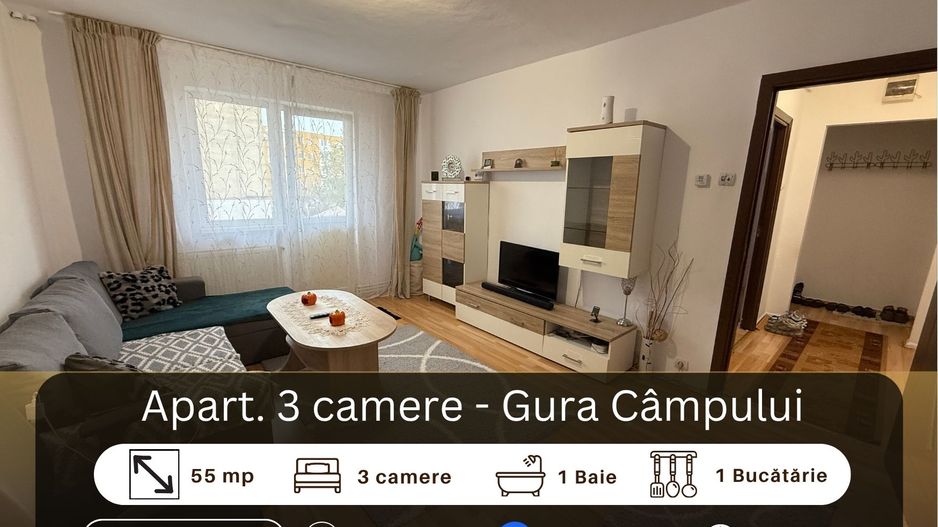 Apartament 3 camere, Medias - Poză 1