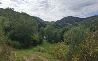Teren Intravilan de Vânzare – 4000 mp – Râu Sadului - Poză 4