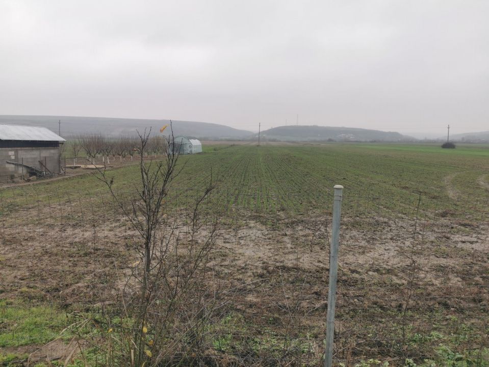 De vanzare casa in Argetoaia cu teren 7.000 mp - Poză 5