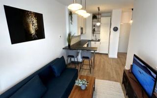 Apartament 2 camere Silk District - 499 euro - Poză 3