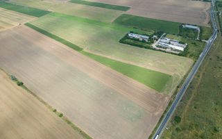 Teren extravilan 12.000 mp DN79 Arad-Oradea - Poză 9