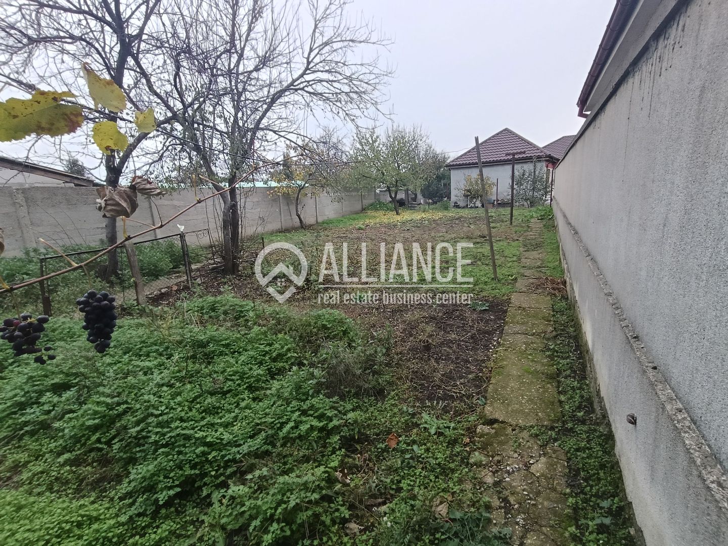 CUMPANA ( cod02) - Casa batraneasca 5 camere cu teren 491 mp - Poză 4