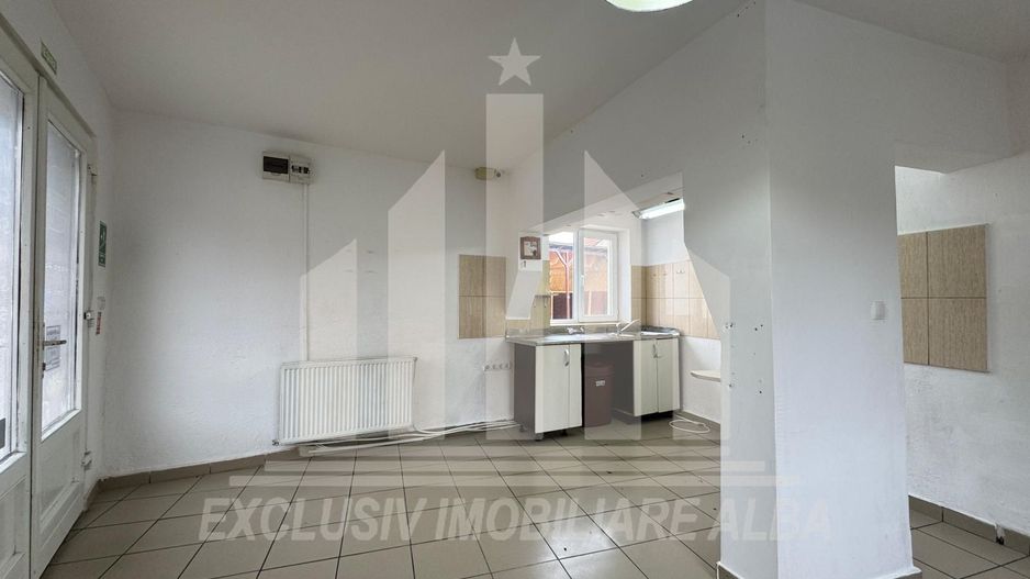 Spatiu comercial | Spatiu birouri | Curte | Terasa | Sebes - Poză 1