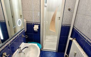 Apartament 2 camere | Parter Tei - Poză 8