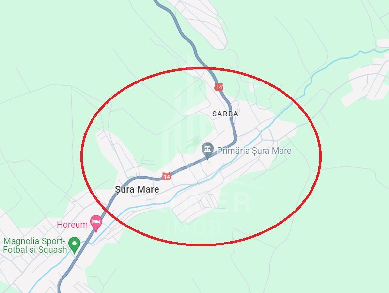 Teren intravilan 1.000 mp | Șura Mare - Poză 3