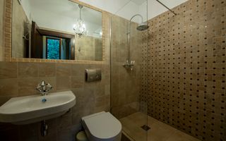 Casa individuala | 255mp s. desfasurata | teren 473mp | D+P+E | Gruia - Poză 15