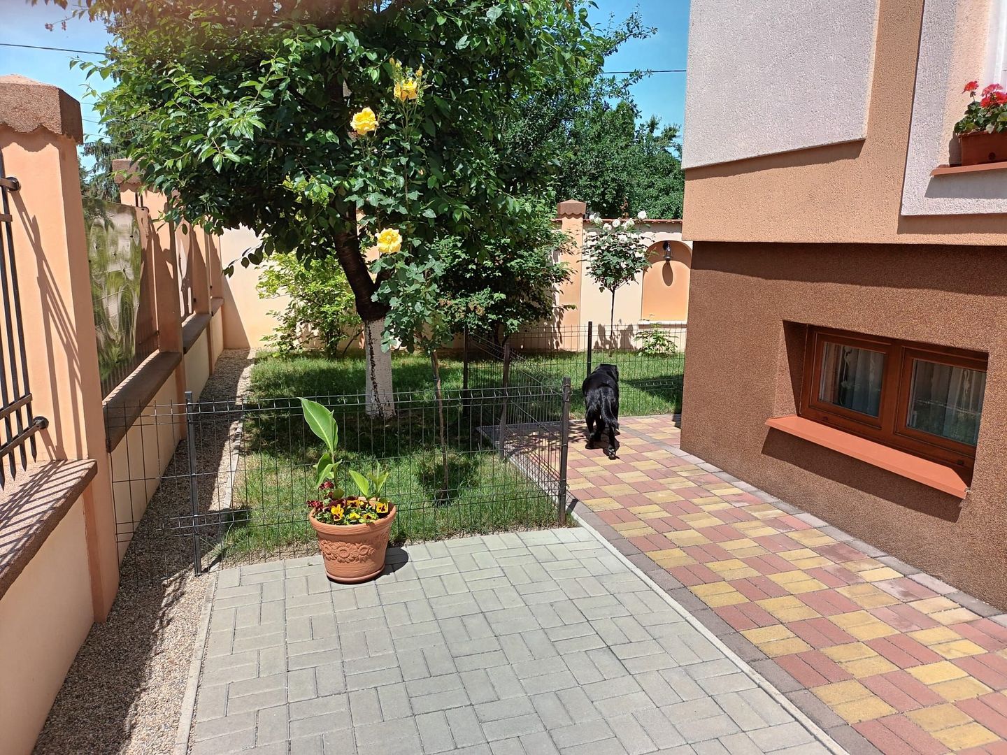 Ag EUROPA vinde casa individuala zona TITULESCU - Poză 3