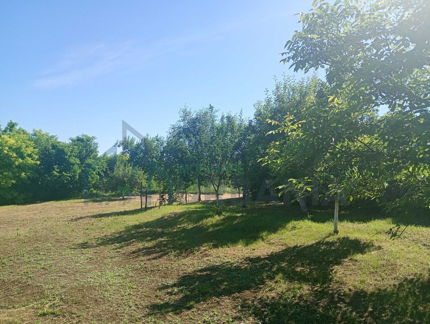 Teren intravilan în centrul localității Cârniceni - Poză 2