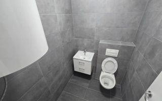 Spațiu Comercial de Închiriat | 125 mp | 6 Locuri Parcare | Doamna Stanca - Poză 5