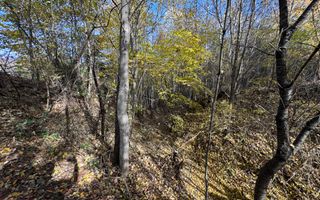 TEREN INTRAVILAN 13167 MP BUGHEA DE SUS ARGES - Poză 25