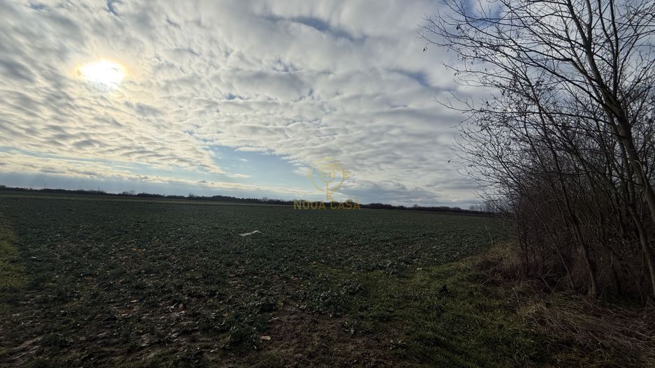 Teren 6600MP Cu Front Stradal 101 M La Intrare in Lazuri Str Botizului - Poză 3