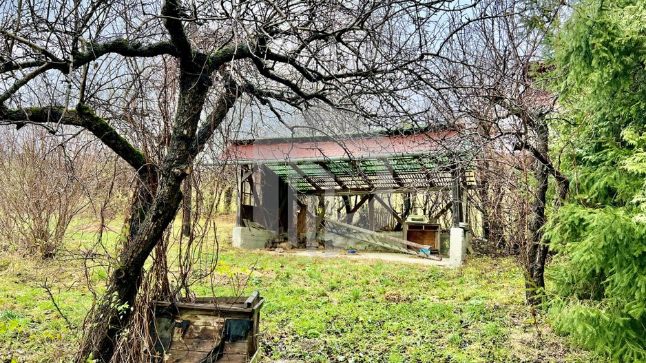 Teren cu livada+ casa de vanzare in Talmacel- 4000 mp - Poză 7